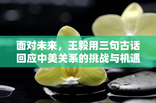 面对未来，王毅用三句古话回应中美关系的挑战与机遇