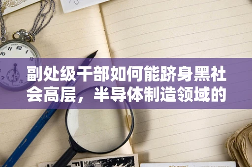 副处级干部如何能跻身黑社会高层，半导体制造领域的警醒与反思