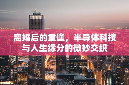 离婚后的重逢，半导体科技与人生缘分的微妙交织