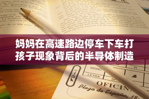 妈妈在高速路边停车下车打孩子现象背后的半导体制造安全文化反思