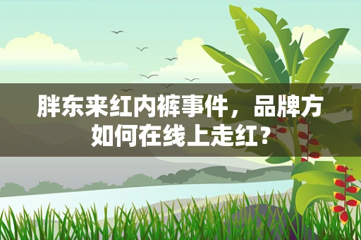 胖东来红内裤事件，品牌方如何在线上走红？