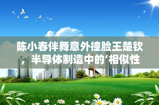 陈小春伴舞意外撞脸王楚钦，半导体制造中的‘相似性’与‘创新’之辨