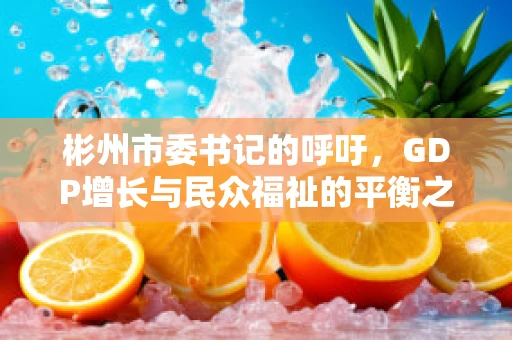 彬州市委书记的呼吁，GDP增长与民众福祉的平衡之道