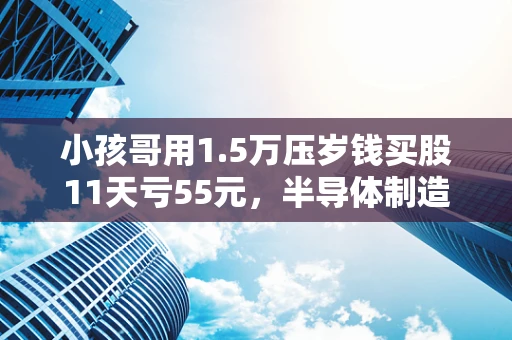 小孩哥用1.5万压岁钱买股11天亏55元，半导体制造领域的投资启示
