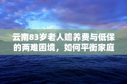 云南83岁老人赡养费与低保的两难困境，如何平衡家庭责任与政策保障？