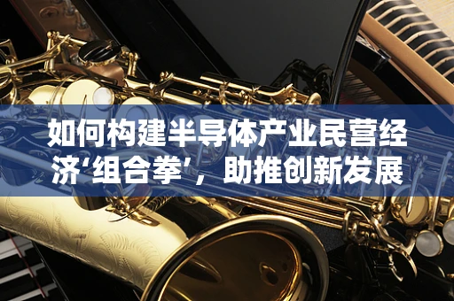 如何构建半导体产业民营经济‘组合拳’，助推创新发展新引擎？