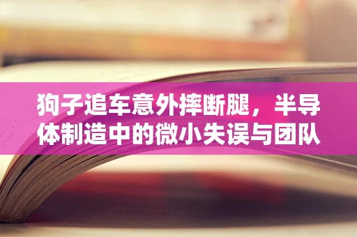 狗子追车意外摔断腿，半导体制造中的微小失误与团队协作启示