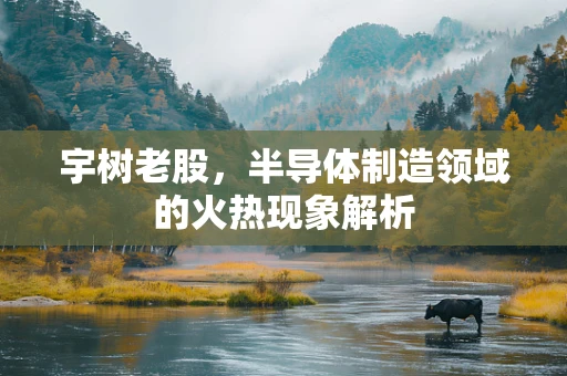 宇树老股，半导体制造领域的火热现象解析