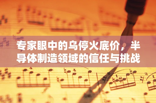 专家眼中的乌停火底价，半导体制造领域的信任与挑战