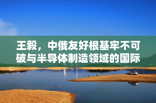 王毅，中俄友好根基牢不可破与半导体制造领域的国际合作新视角