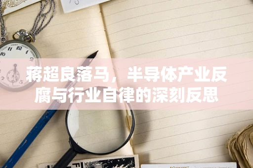 蒋超良落马，半导体产业反腐与行业自律的深刻反思