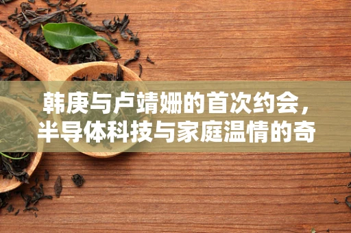 韩庚与卢靖姗的首次约会，半导体科技与家庭温情的奇妙融合