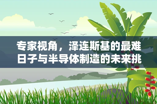 专家视角，泽连斯基的最难日子与半导体制造的未来挑战