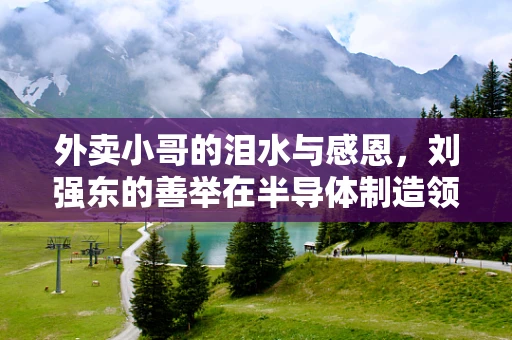 外卖小哥的泪水与感恩，刘强东的善举在半导体制造领域的启示