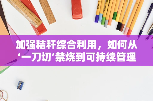 加强秸秆综合利用，如何从‘一刀切’禁烧到可持续管理？