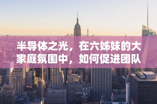 半导体之光，在六姊妹的大家庭氛围中，如何促进团队协作与技术创新？