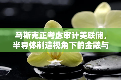 马斯克正考虑审计美联储，半导体制造视角下的金融与技术创新并轨