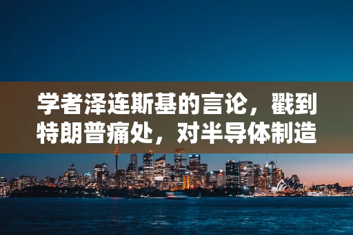 学者泽连斯基的言论，戳到特朗普痛处，对半导体制造领域的影响与启示