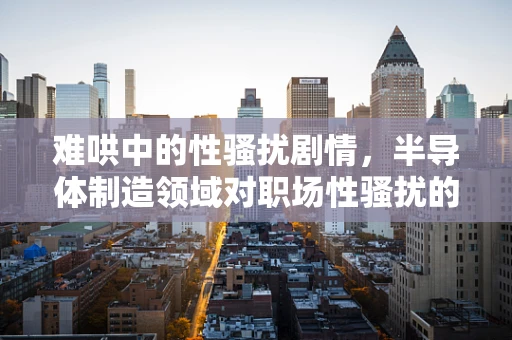 难哄中的性骚扰剧情，半导体制造领域对职场性骚扰的反思与应对