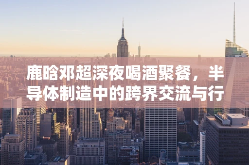 鹿晗邓超深夜喝酒聚餐，半导体制造中的跨界交流与行业启示