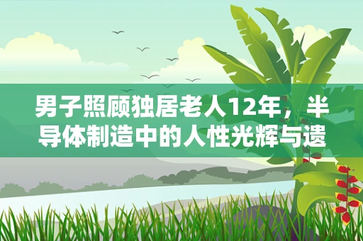 男子照顾独居老人12年，半导体制造中的人性光辉与遗产继承的伦理考量