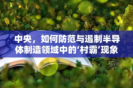 中央，如何防范与遏制半导体制造领域中的‘村霸’现象？