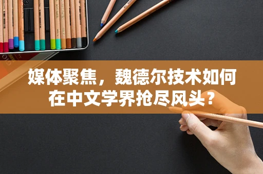 媒体聚焦，魏德尔技术如何在中文学界抢尽风头？