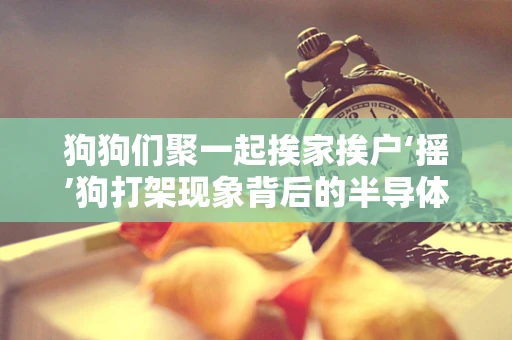 狗狗们聚一起挨家挨户‘摇’狗打架现象背后的半导体制造安全与设备保护