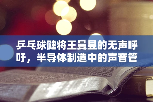 乒乓球健将王曼昱的无声呼吁，半导体制造中的声音管理与职业健康