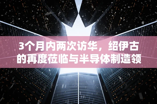 3个月内两次访华，绍伊古的再度莅临与半导体制造领域的未来展望