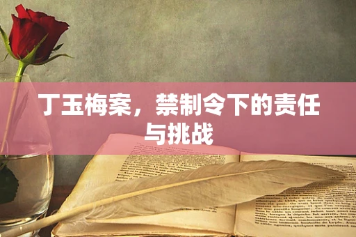 丁玉梅案，禁制令下的责任与挑战