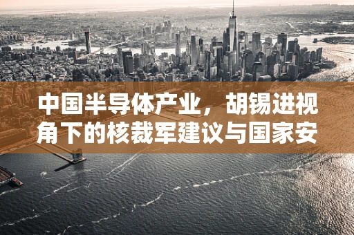 中国半导体产业，胡锡进视角下的核裁军建议与国家安全考量