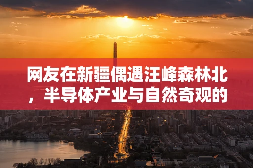 网友在新疆偶遇汪峰森林北，半导体产业与自然奇观的跨界邂逅
