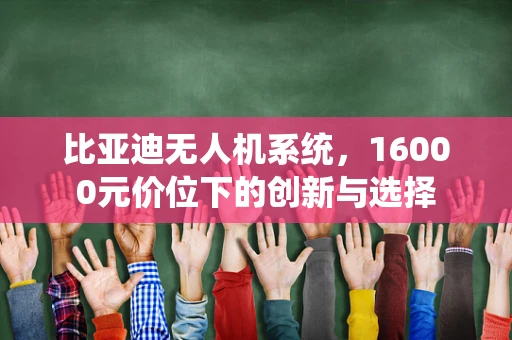 比亚迪无人机系统，16000元价位下的创新与选择