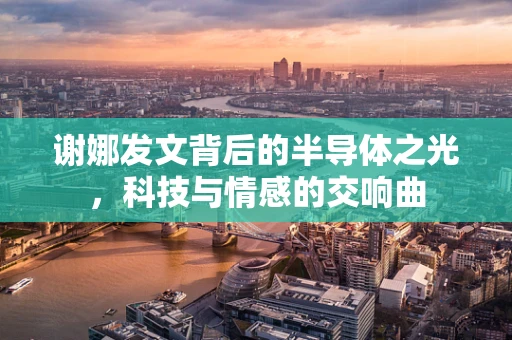 谢娜发文背后的半导体之光，科技与情感的交响曲