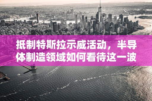 抵制特斯拉示威活动，半导体制造领域如何看待这一波浪潮？