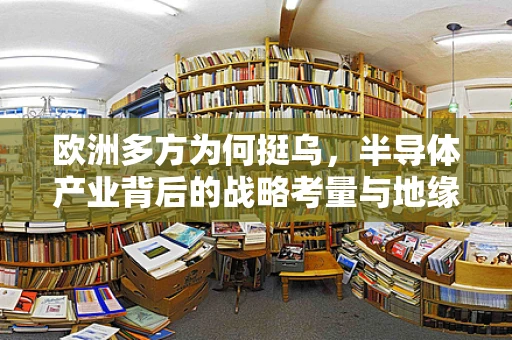 欧洲多方为何挺乌，半导体产业背后的战略考量与地缘政治博弈