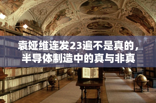 袁娅维连发23遍不是真的，半导体制造中的真与非真