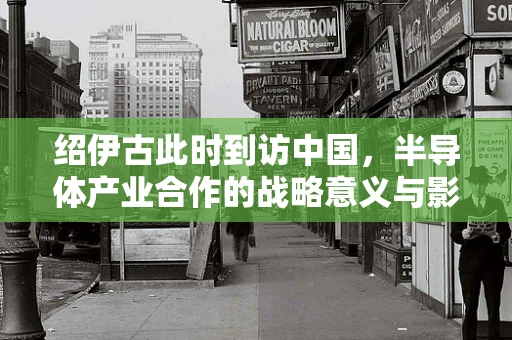 绍伊古此时到访中国，半导体产业合作的战略意义与影响