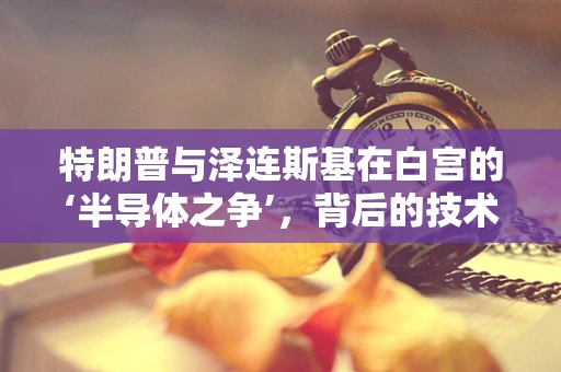 特朗普与泽连斯基在白宫的‘半导体之争’，背后的技术博弈与地缘政治考量