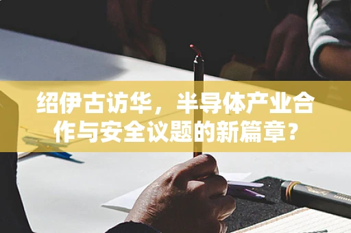 绍伊古访华，半导体产业合作与安全议题的新篇章？