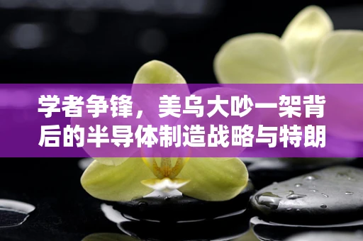 学者争锋，美乌大吵一架背后的半导体制造战略与特朗普的底牌