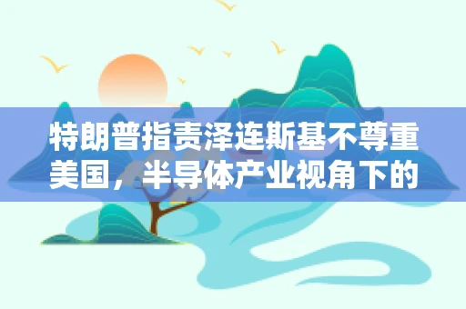 特朗普指责泽连斯基不尊重美国，半导体产业视角下的国际政治与经济合作