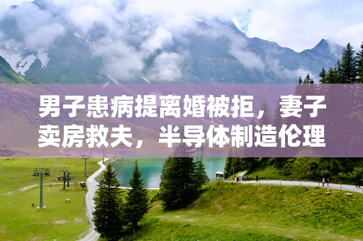 男子患病提离婚被拒，妻子卖房救夫，半导体制造伦理与家庭责任的交织