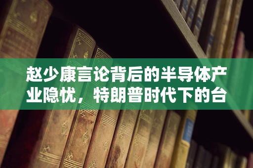 赵少康言论背后的半导体产业隐忧，特朗普时代下的台湾半导体命运几何？