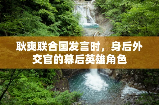 耿爽联合国发言时，身后外交官的幕后英雄角色