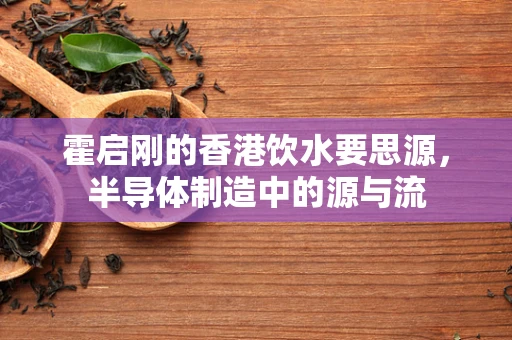霍启刚的香港饮水要思源，半导体制造中的源与流