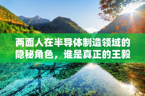 两面人在半导体制造领域的隐秘角色，谁是真正的王毅之问对象？