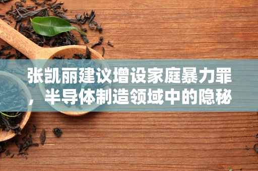 张凯丽建议增设家庭暴力罪，半导体制造领域中的隐秘伤害与法律保护