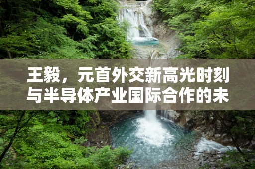 王毅，元首外交新高光时刻与半导体产业国际合作的未来展望